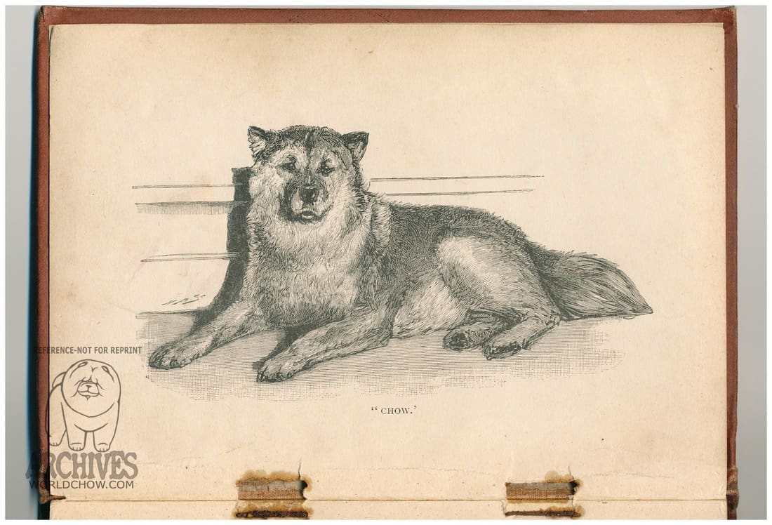AUTOBIOGRAPHY OF CHOW