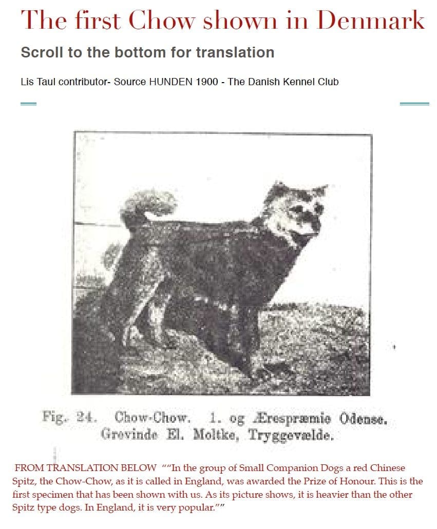FIRST DANISH CHOW SHOWN 1