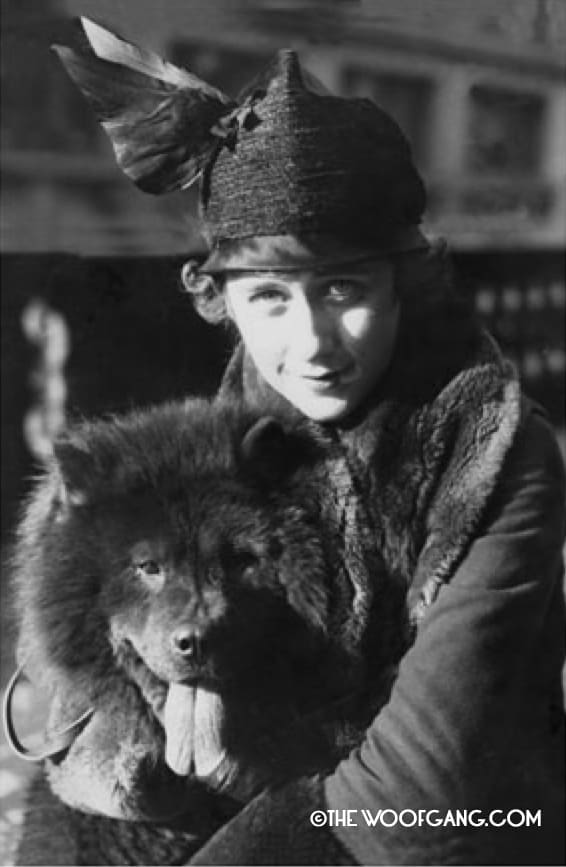 Virginia "Jean" Waller with Ch. Win Sum Min T'Sing one of the five foundation males of the breed. Long Island, N. Y. 1916 