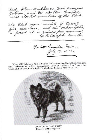 handwritten chow standard pg 2 - Version 4