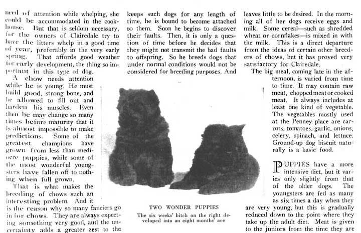 Clairedale by the Sea AKC Gazette August 31 1926