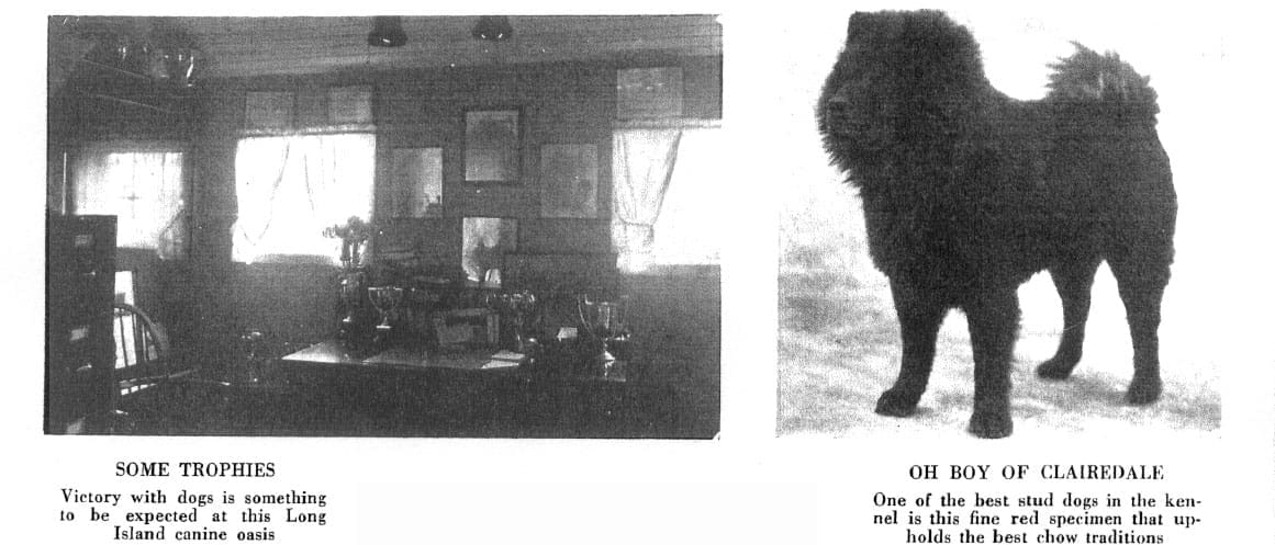Clairedale by the Sea AKC Gazette August 31 1926