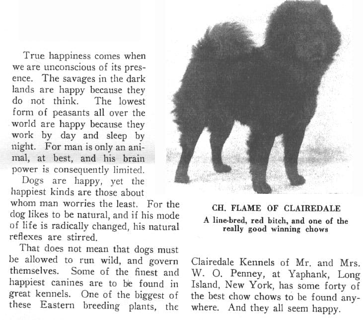 Clairedale by the Sea AKC Gazette August 31 1926