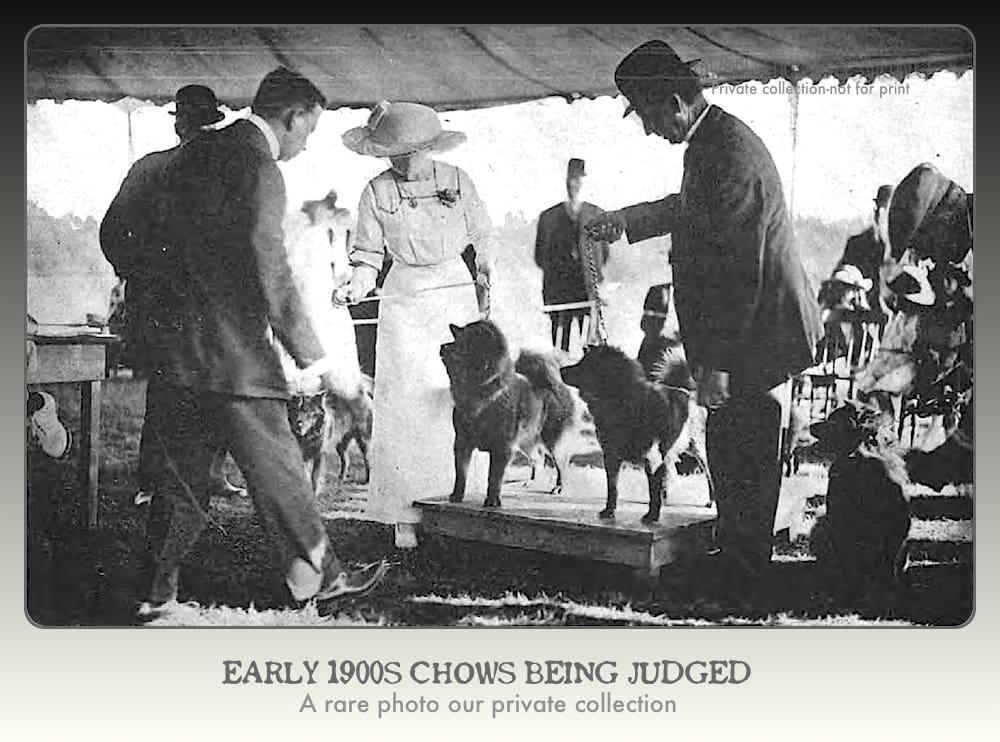 1914 House and Garden Dog shows...rare