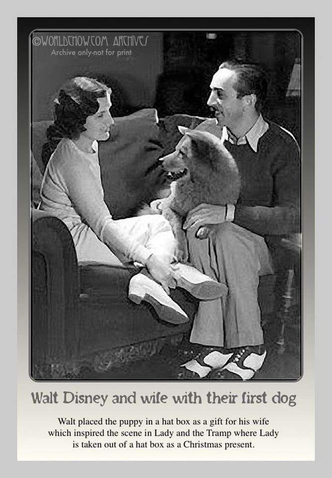 DISNEY