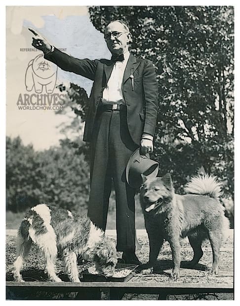 FREDRICKSBURG DOG MARKET