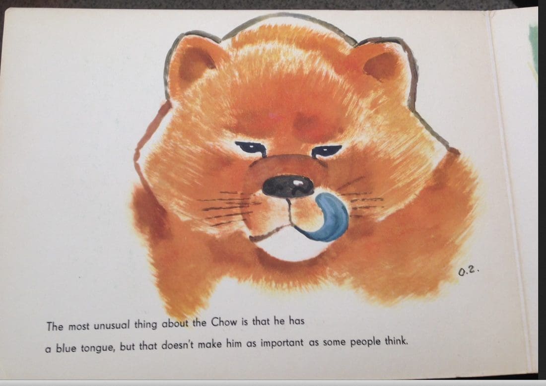 THE LION THAT WASN'T