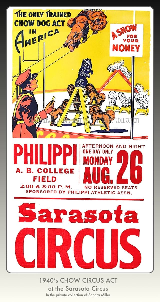 SARASOTA CHOW CIRCUS POSTER