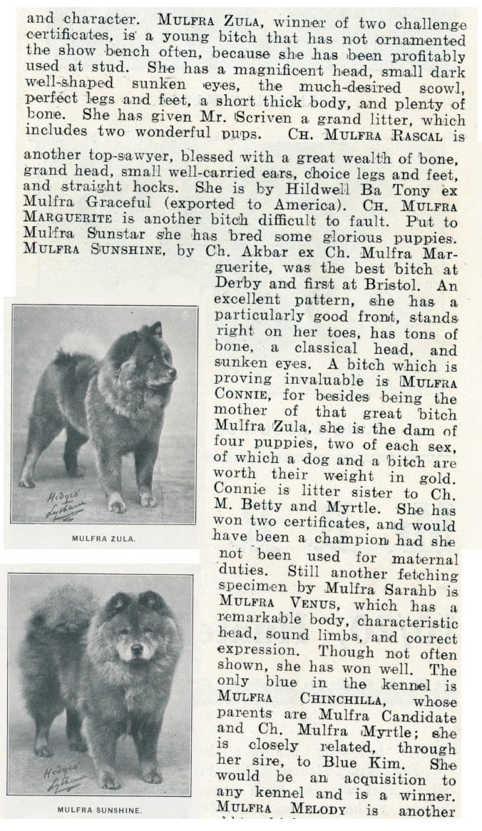 MULFRA ARTICLE PAGE 3