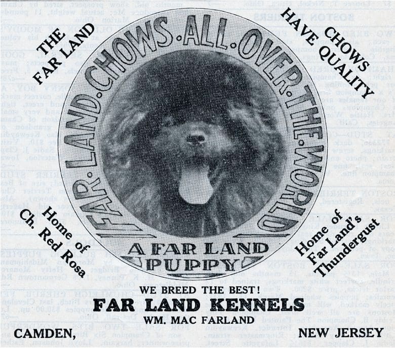 FAR LAND THUNDERGUST