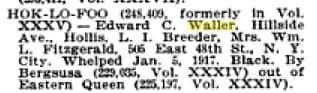 Bersusa x Eastern Queen Breeder Mrs. Wm. L. Fitzgerald