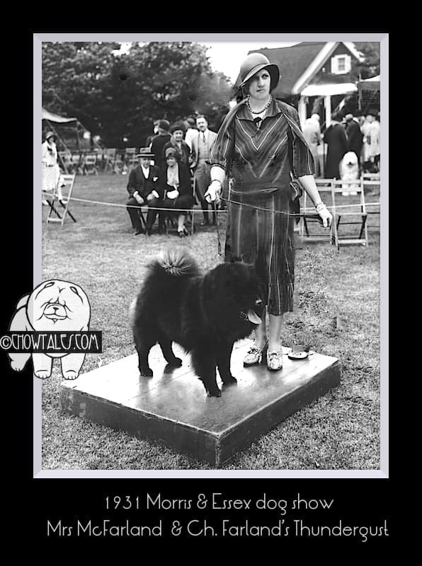 Mrs MacFarland with Thundergust as a 9 month old . Press photo not mine