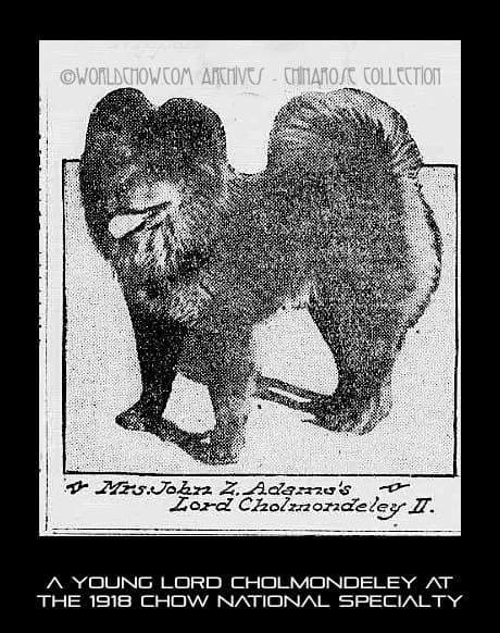 Chow National 1918
