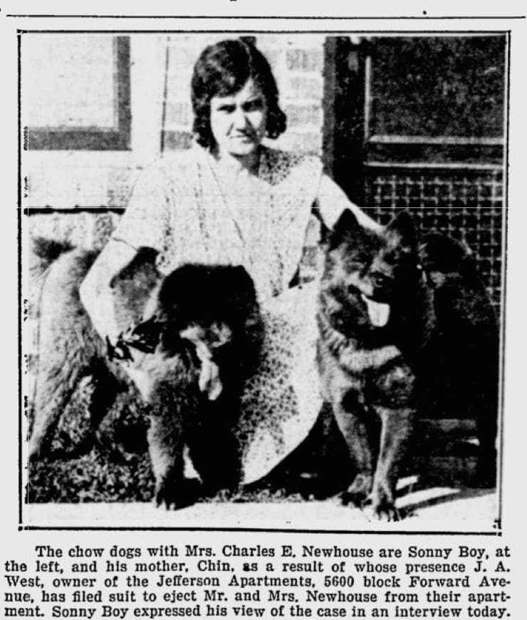 Sonny Boy dog writes his own story.  5 pix  1930 Pittsburg Press