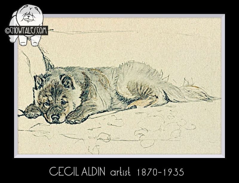 Cecil Aldin 1837-1935 artist