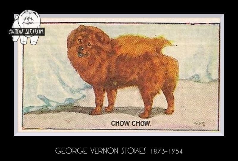vernon stokes