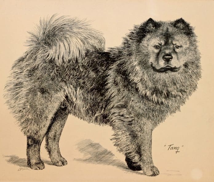 Artwork etching featured at Hamshere gallery