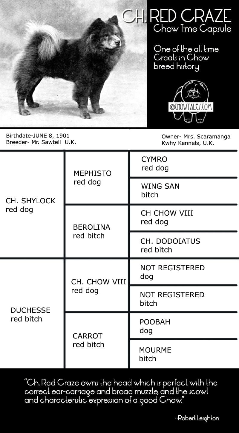 RED CRAZE PEDIGREE CHOW GREAT