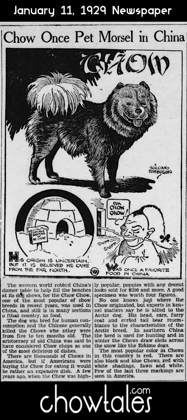 1929 PET MORSEL CHINA ARTICLE