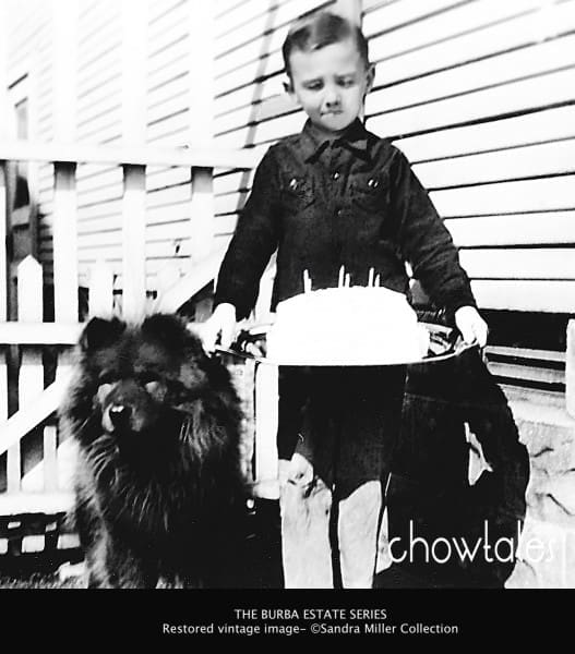BOOK BURBA BIRTHDAY CHILD BOY