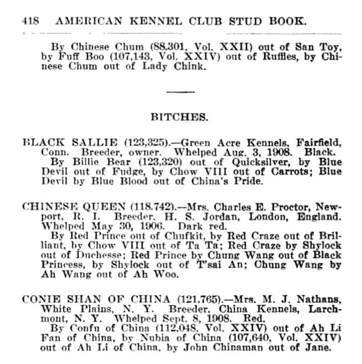1909 AKC STUDBOOK ENTRIES