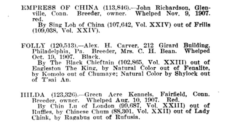 1909 AKC STUDBOOK ENTRIES