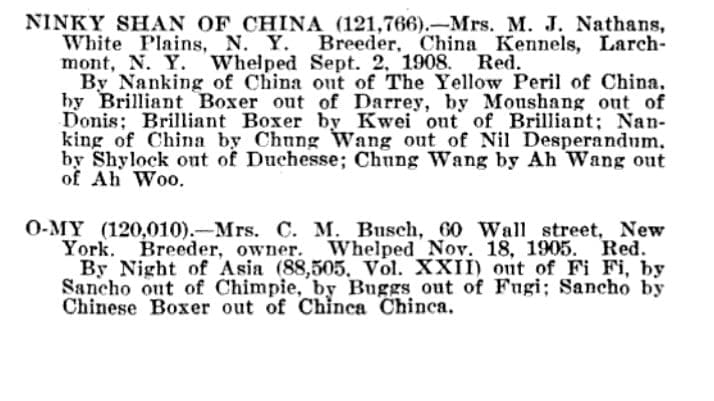 1909 AKC STUDBOOK ENTRIES