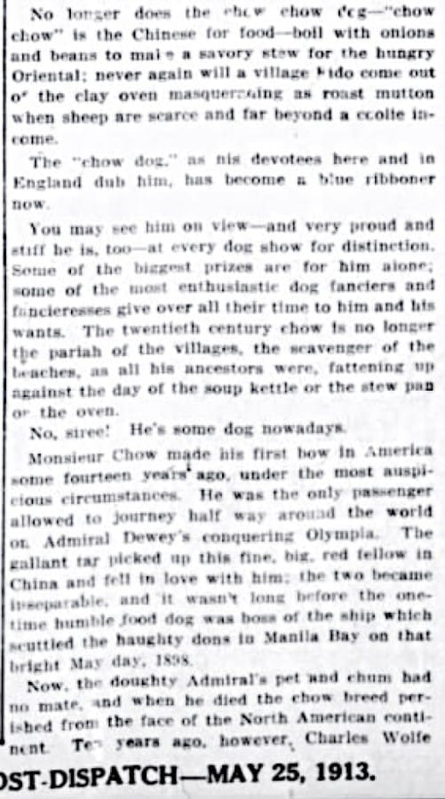 1913 ARTICLE ADMIRAL DEWEY FOUND CHOWS