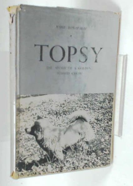 Topsy the Golden Haired Chow