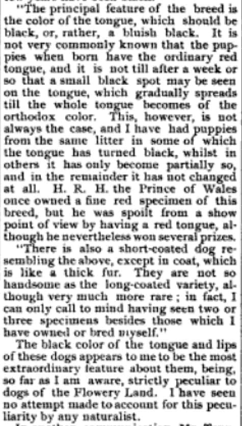 The Fanciers' Journal 1890 Chinese Puzzle 2