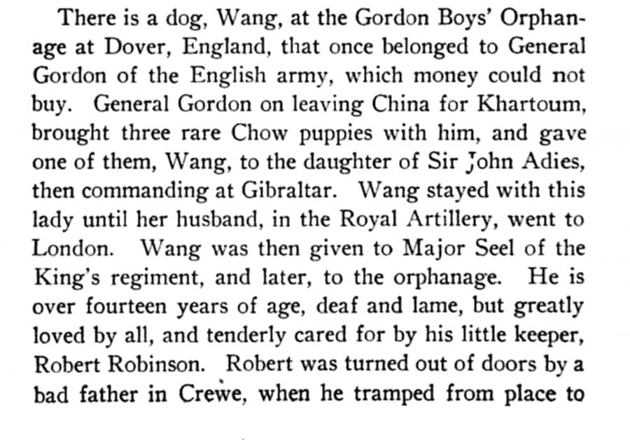 Chinese Gordon Wang 1865